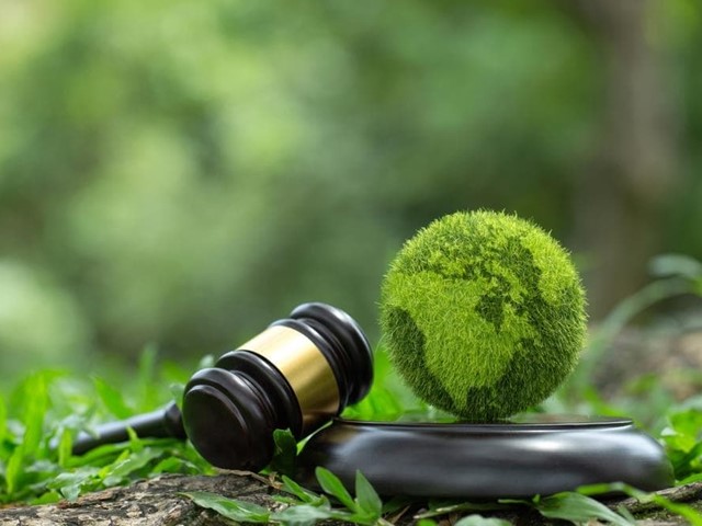 ¿En qué consiste el derecho medioambiental?